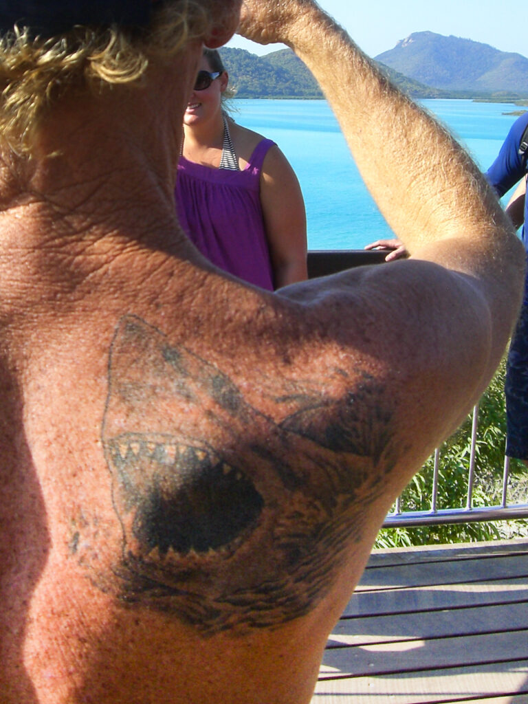 Realistic great white shark tattoo on a man's back
