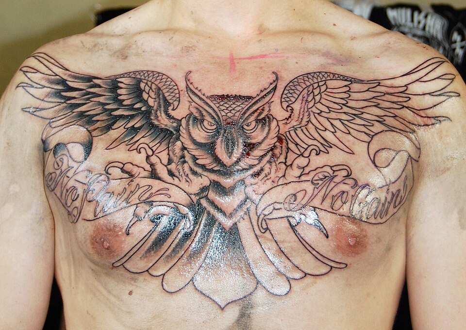 Owl with spread wings chest piece tattoo
