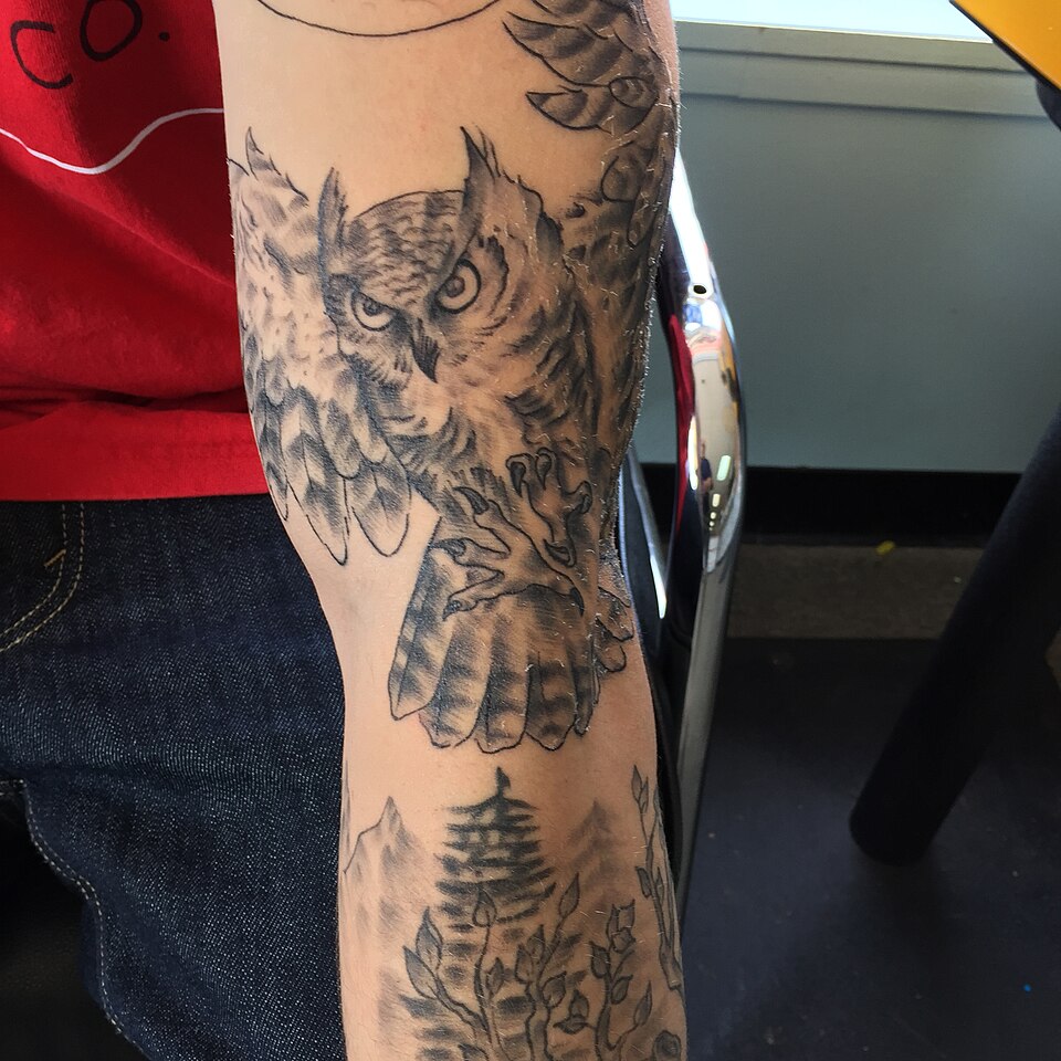 Shaded owl tattoo on the forearm
