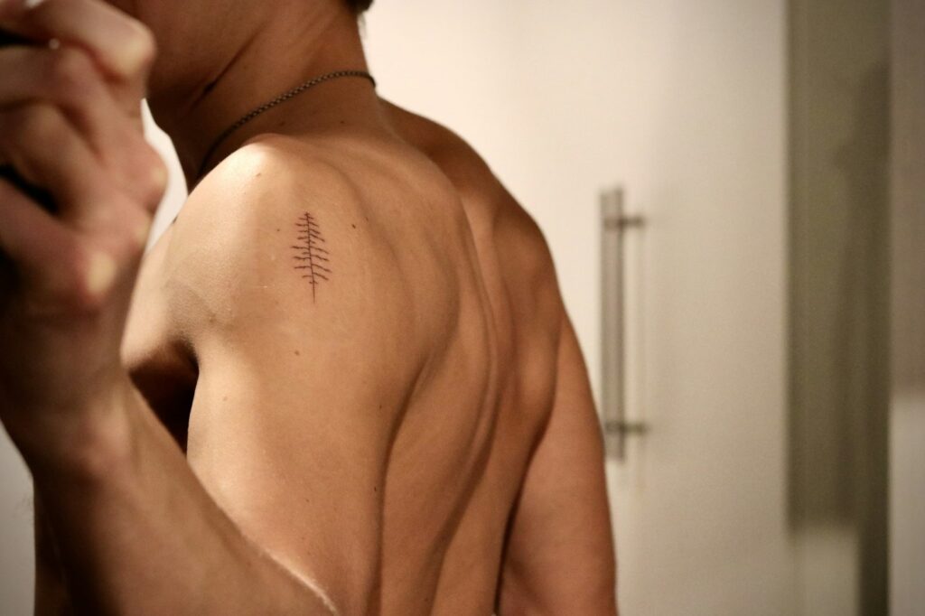 Small pine tree tattoo on a man's shoulder blade