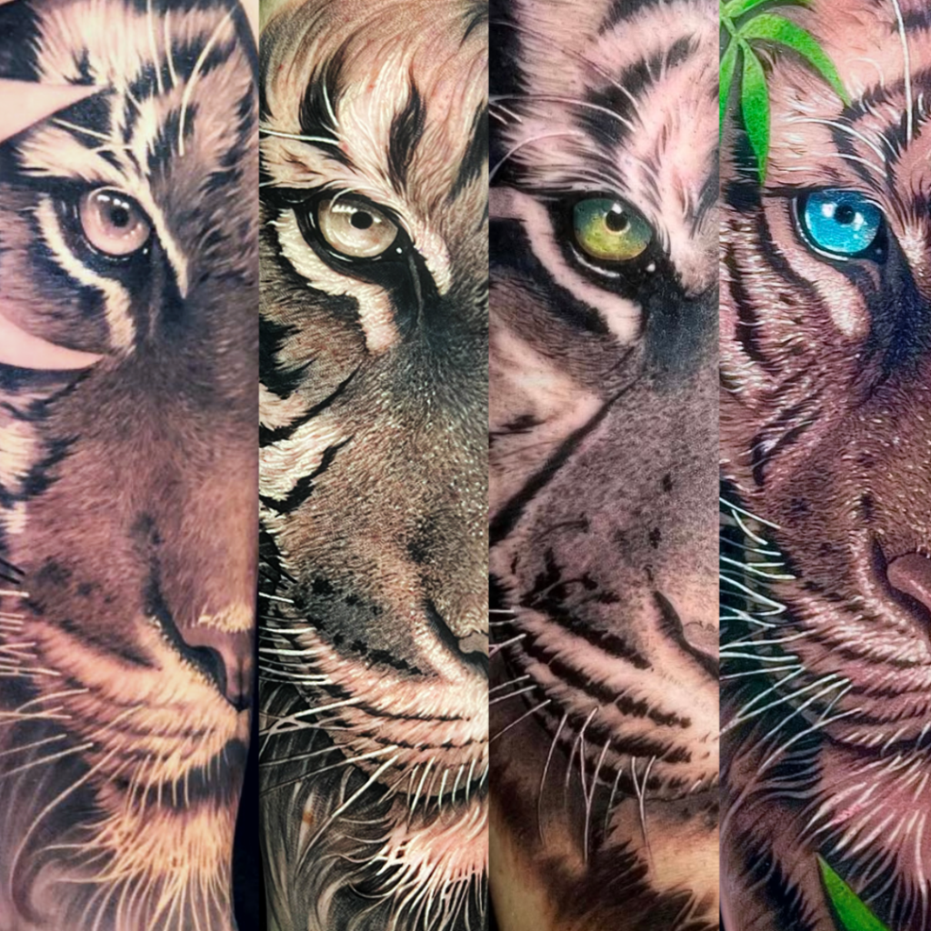 Four realistic tiger face tattoos with blue, green and amber eyes