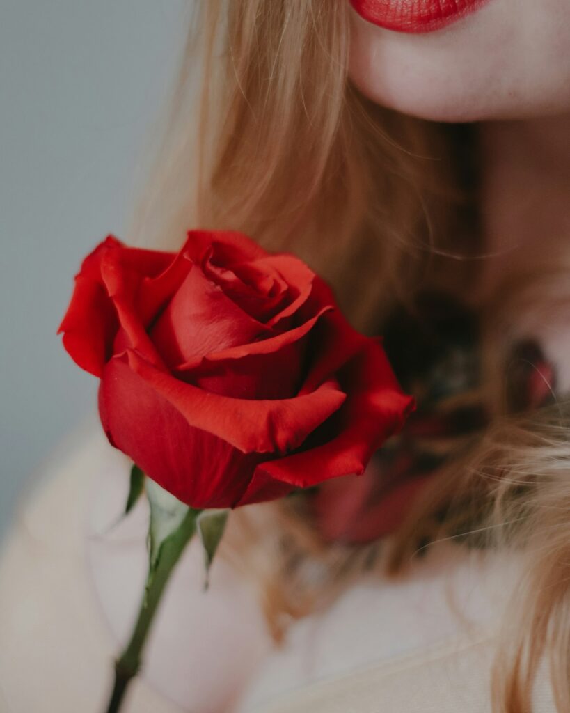 Red rose flower held in a hand