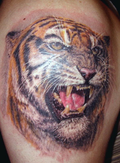 Roaring tiger head tattoo in full color realism