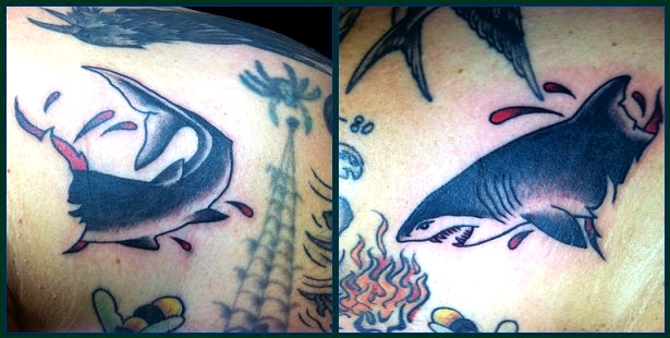 Two American traditional shark tattoos in bold color
