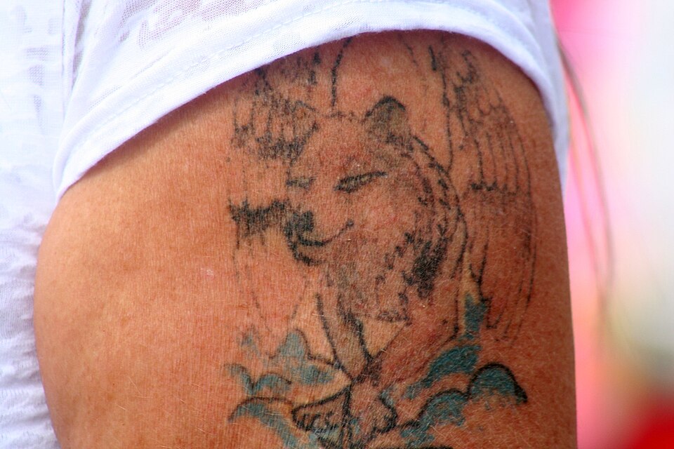 Sketch style wolf tattoo on the shoulder with blue water