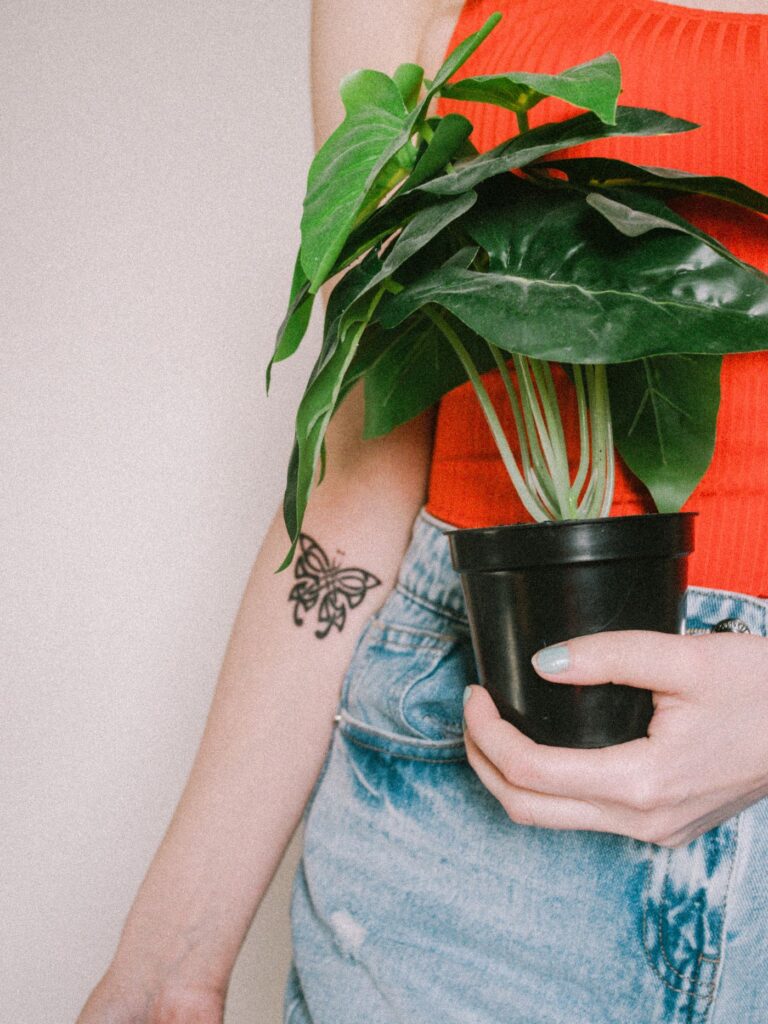 Butterfly tattoos for women: woman holding a monstera plant with a butterfly tattoo on her arm
